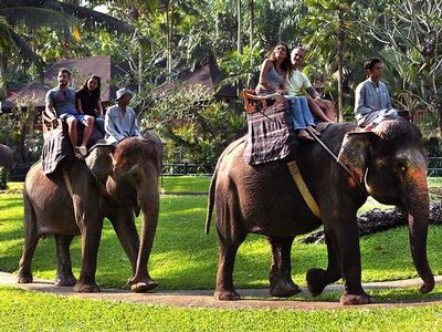Fun Things To Do In Bali? Mason Elephant Safari Ride